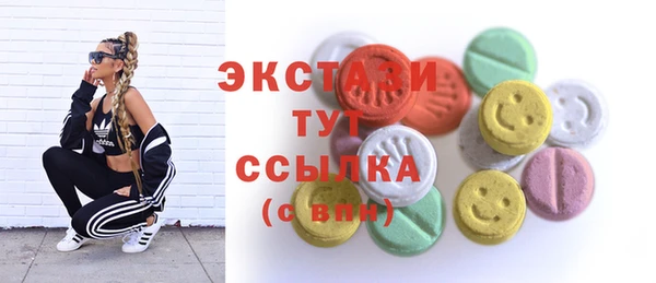 индика Покачи