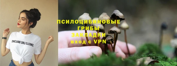 стаф Абинск