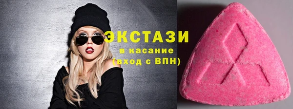 индика Покачи