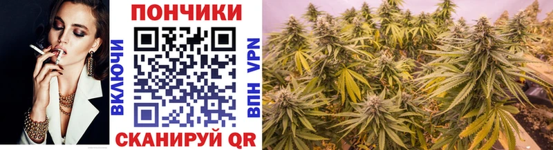 маркетплейс телеграм Чита Бошки марихуана SATIVA & INDICA